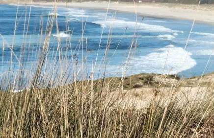 El Pommier - Foto 29