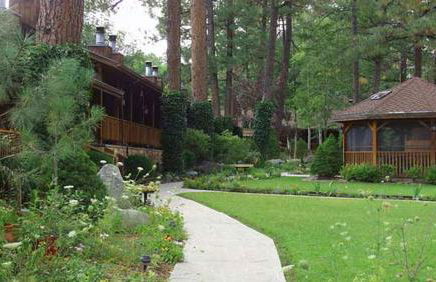 Shadow Mountain Lodge and Cabins - Foto 20