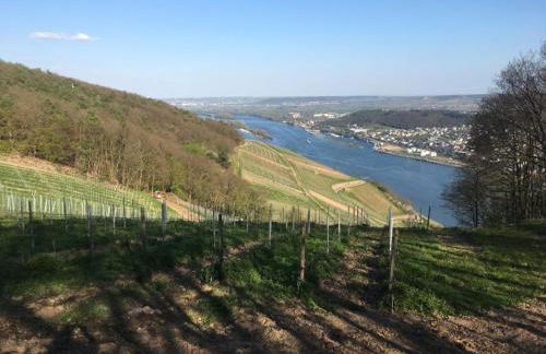 Apartment am Rheinsteig ,privater Vermieter - Foto 4