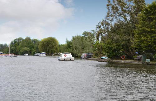 The Brambles - Foto 18