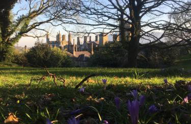 Number 6 Narrow Water Castle - Photo 17