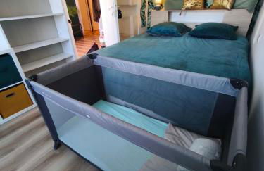 Le Cosy Perpignan Centre, 2 rooms, 2 bathrooms, free WIFI, free parking, lift, central, renovated, spacious - Foto 17