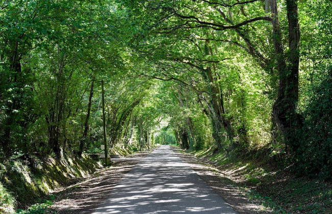 Apartment in Branville With Balcony or Terrace-formerly TUI Ferienhaus - Foto 7