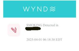 BEST location Quiet Cottage Pets Kitchen - Foto 39