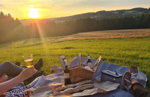 Wildblick Appartment Hof Grindelborn - Foto 32