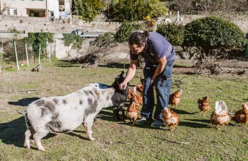 Agriturismo Il Canto delle rane - Photo 58