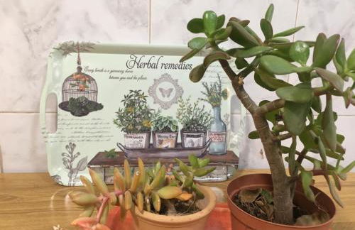 Casa del mar - Foto 12