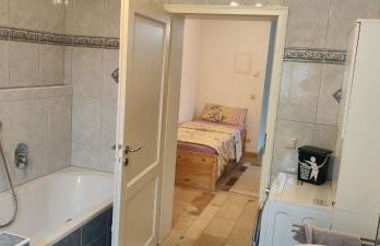 Ferienwohnung am Fuchsbühl - Foto 9