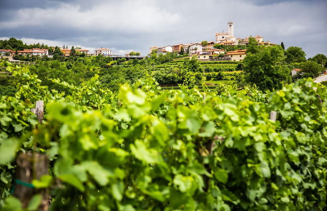 Luxury Villa Eva Pool Whirlpool & Sauna - Foto 32