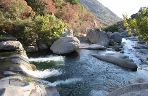 Sweet getaway in private Giant Sequoia Grove! - Foto 44