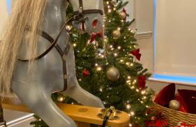 Bramley House-5 Star-located on the Dublin-Belfast corridor - Foto 30