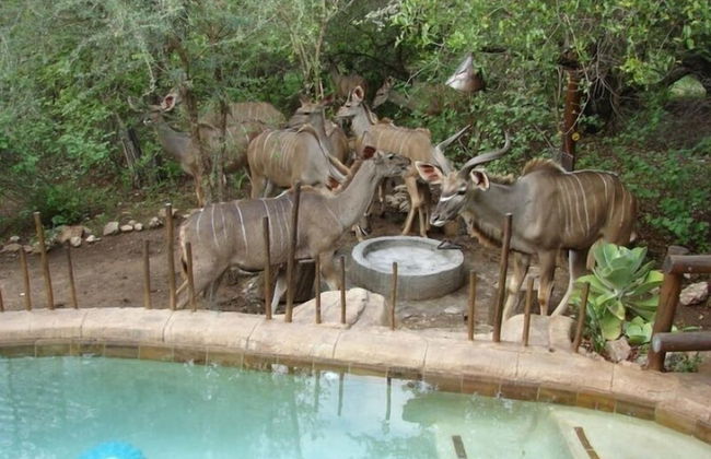 Marloth Kruger Accommodation - Foto 52
