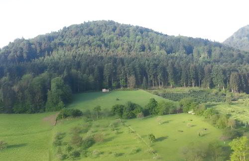 Haus Wolter - Photo 20