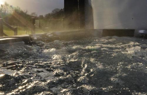 4 Bed in Oswestry oc-74110 - Foto 21