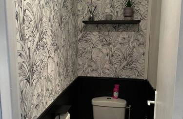 Grand F2 Perret de 60 m2, traversant lumineux, Plein Centre, 36 rue de Paris, vue Catène, arrivée autonome - Foto 13