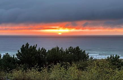 Doniños Nature - Foto 20