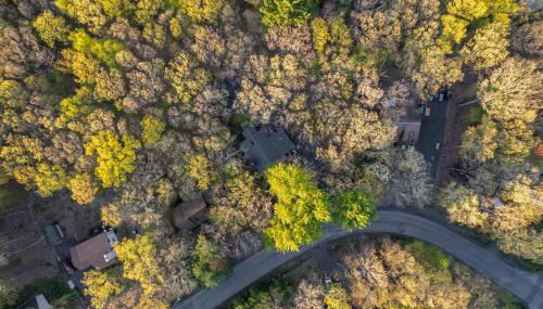 The Blue Forest Chalet - Kayak, Hike, Hot Tub - Foto 2