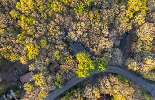 The Blue Forest Chalet - Kayak, Hike, Hot Tub - Foto 2