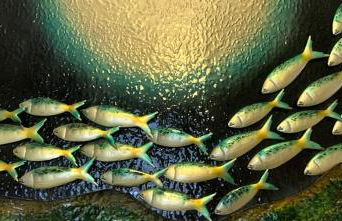 The old station apartment - Foto 11