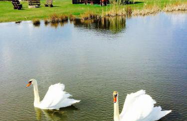 Domki Loft nad Stawem 4d4dz - Foto 37
