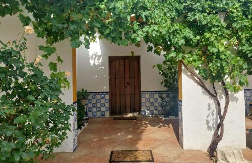 Cortijo Las Cruces Guillena - Sevilla - Foto 9