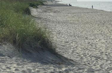 Beach Front San Marco 2 bedroom condo Venice Florida - Photo 15