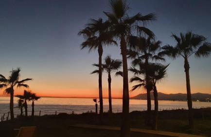 Blue Lady by the Sea - Photo 50