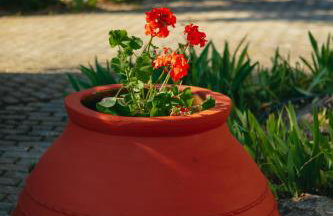 Βίλλα Φανούλα Villa Fanoula - Foto 71