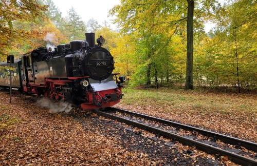 Sonneninsel & Ankerplatz Wiek mit eigener Sauna - Foto 39