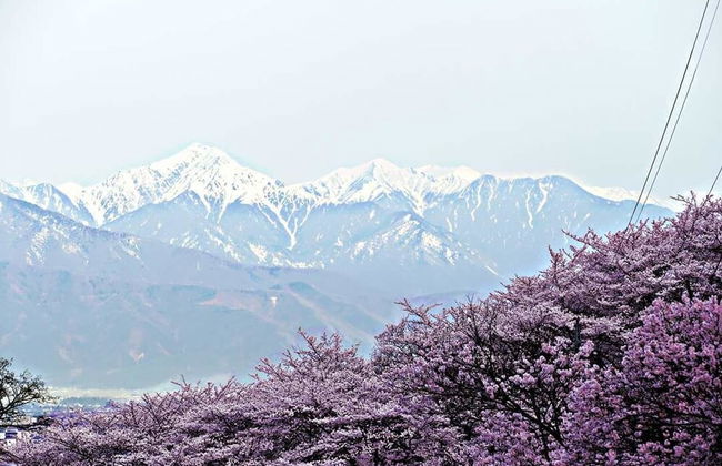 GUESTHOUSE engiya - Foto 17