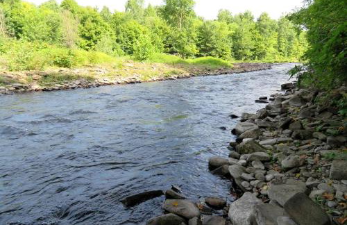 Cozy Three-Bedroom Cabin Near The Salmon River in Altmar, New York - Foto 24