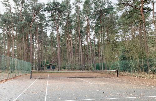 Robin's Retreat - Photo 28