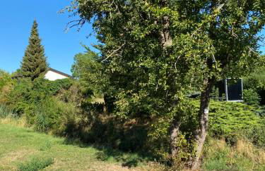 Ferienhaus Naturblick - Photo 30