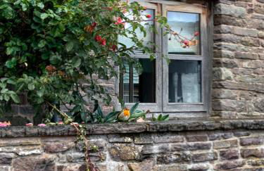 Mountain View Farm Cottage - Foto 10