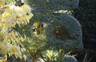 Pool House at Mill Cottage - Photo 25