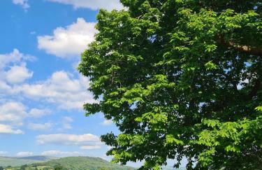 Brecon Beacons Lovely cottage with stunning views - Photo 20