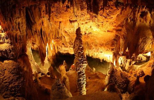 Casa da Palmeira - Foto 33