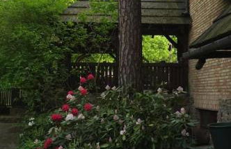 Leśny kasztel pod sosnami. Pokój w koronach drzew. - Foto 13