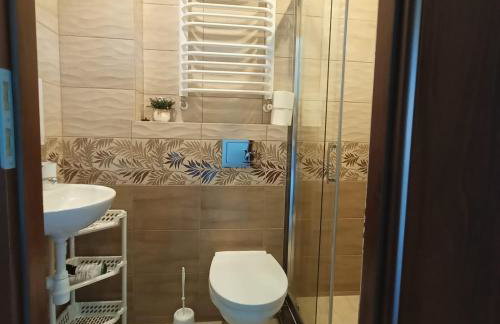 Noclegi U Janusza - Bieszczady - Photo 51