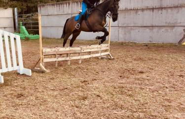 Stewards Bothy - Foto 70