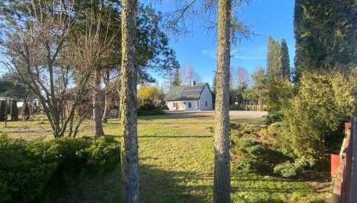 Agroturystka pod sosnami - Foto 3, Garden, Garden view