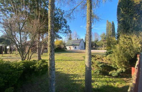 Agroturystka pod sosnami - Foto 3