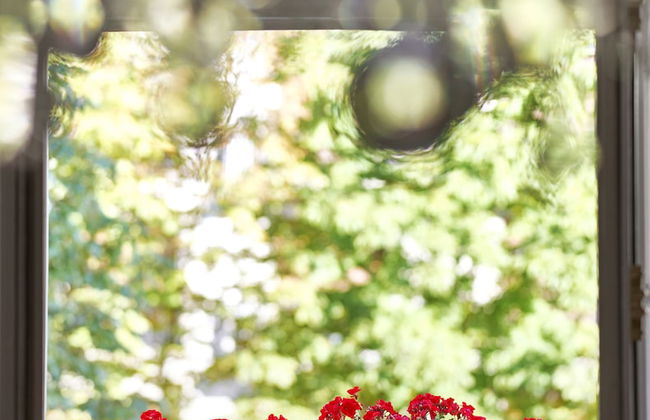 Hôtel Plaza Athénée - Dorchester Collection - Foto 65