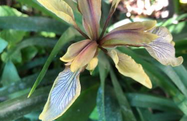 In Riva al Lago di Iseo Residenza LOFT - Foto 21