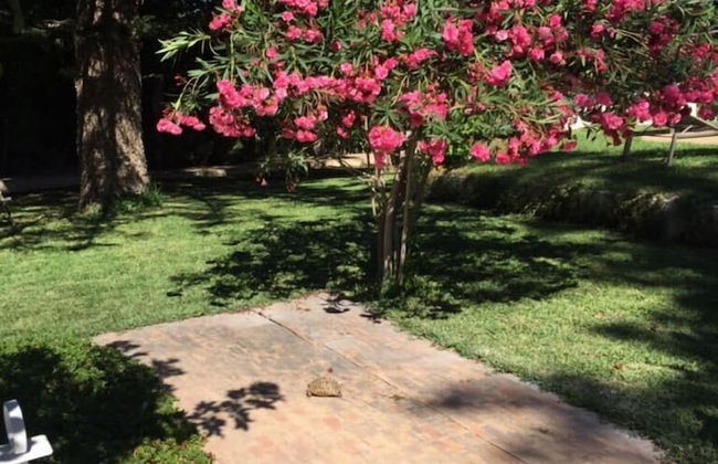 Dar Miramar - Foto 47