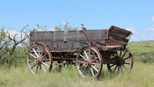 Gallo Libre Ranch House in Arivaca, AZ - Foto 1