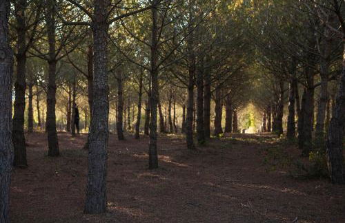 Château de la Motte - Entre Narbonne et le Canal du Midi - Foto 33