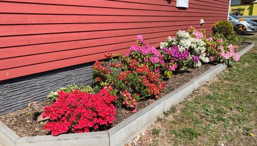 Haus-Elbromantik-Sandau - Foto 4