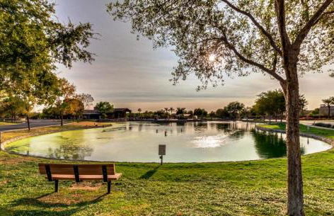 Palmen Maricopa - Photo 73