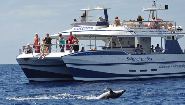 Spirit of the Sea cruise with transfer - Photo 4